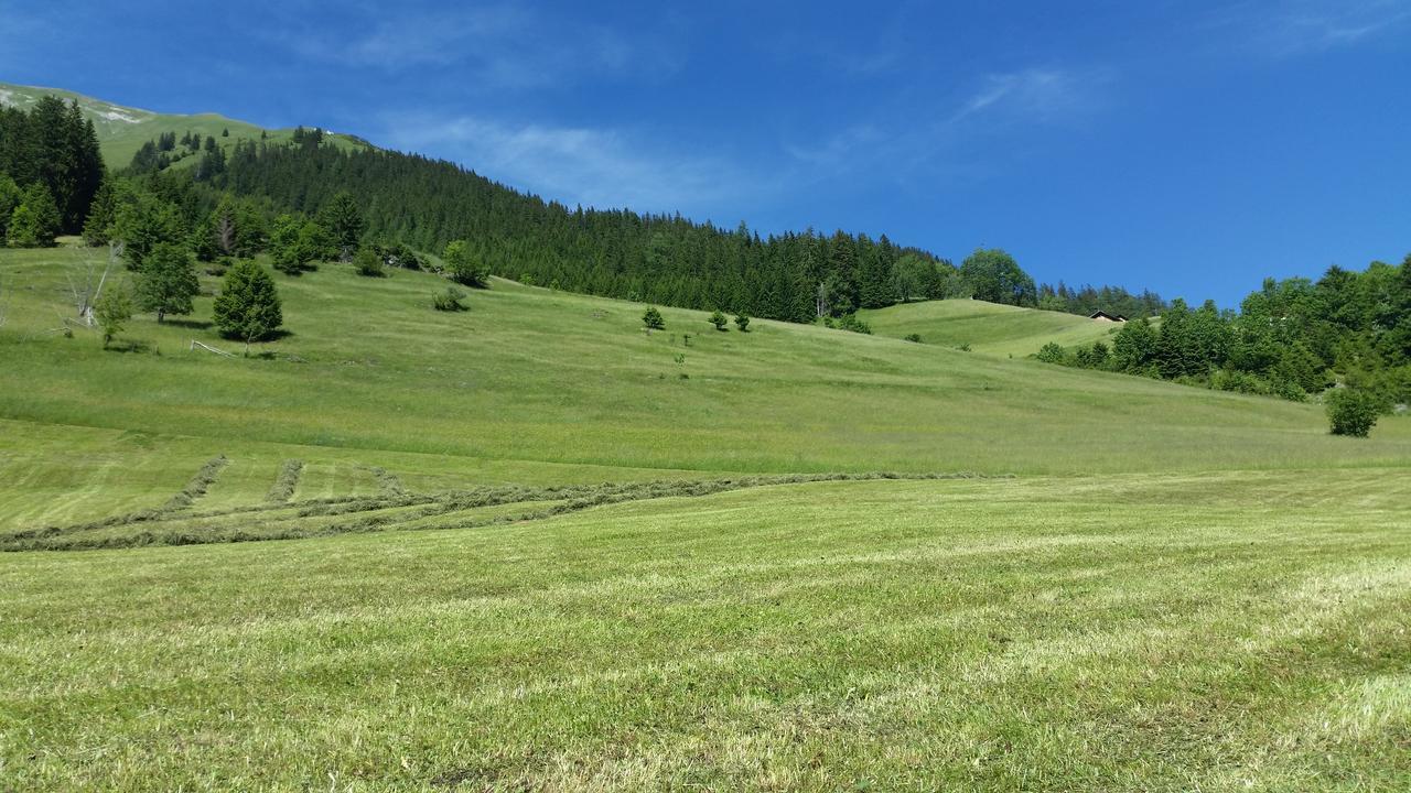 Auszeit Chalets Bschlabs Luaran gambar