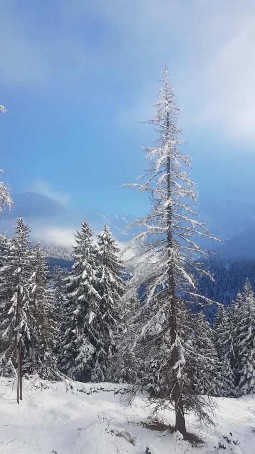 Auszeit Chalets Bschlabs Luaran gambar